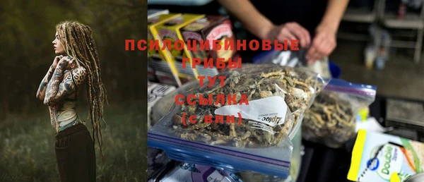 прущая мука Вяземский