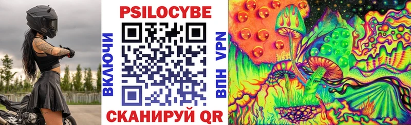 Купить где Ликино-Дулёво Галлюциногенные грибы Psilocybe